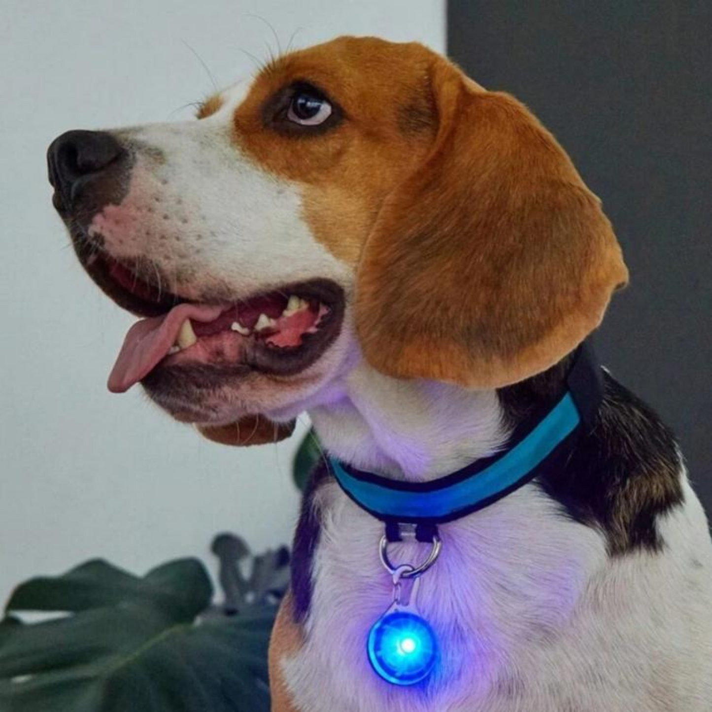 Luz Led para Collar Colgante