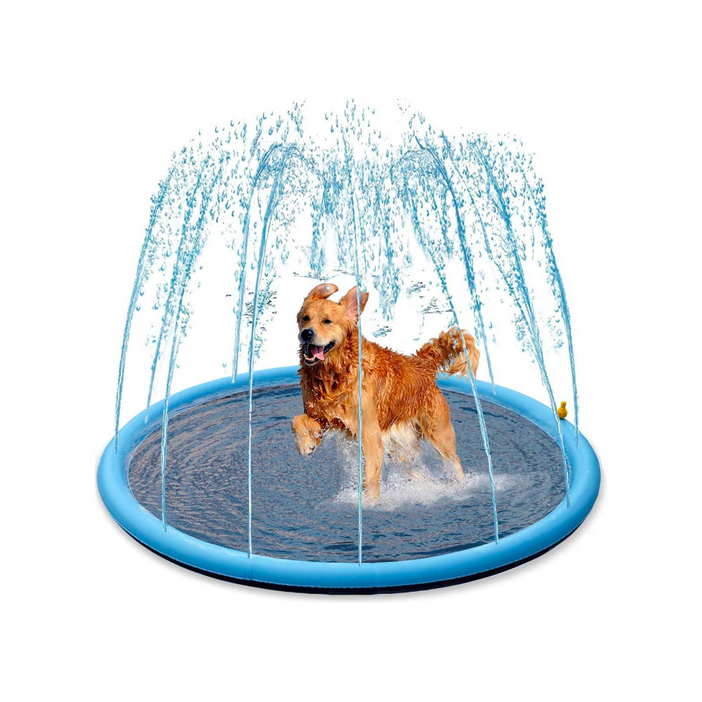 Pet Pool - Piscina de Chorros